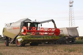 Agrarproduktion von Hotel und Landgaststätte Schlaitz - ein Unternehmen der Agrarprodukte aus Schlaitz GmbH in Muldestausee